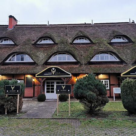 Готель Haus Ossenkopp Dummer Екстер'єр фото