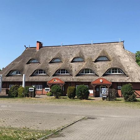 Готель Haus Ossenkopp Dummer Екстер'єр фото